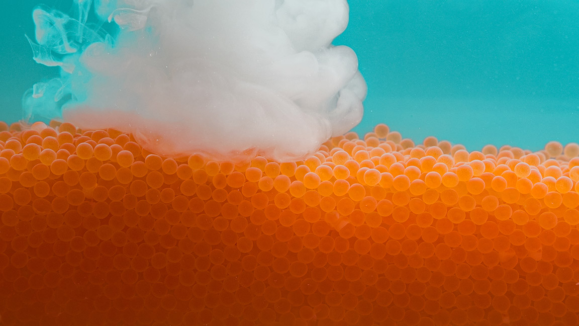 Contrôle visuel de la qualité des œufs de truite