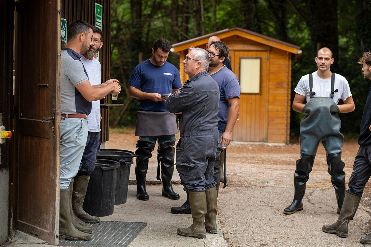 Pisciculteurs Aqualandes Origins - Producteurs œufs de truites